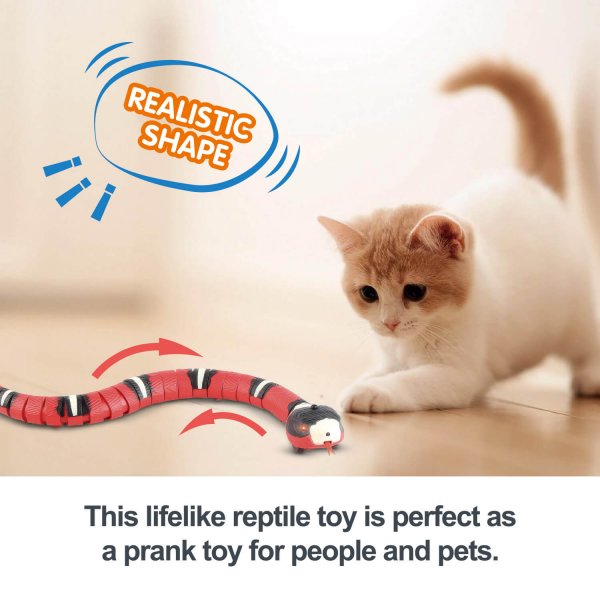 Electric Induction Funny Cat Realistic Shape Snake