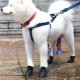 4pcs Fashion Portable Pet Dog Waterproof Boots